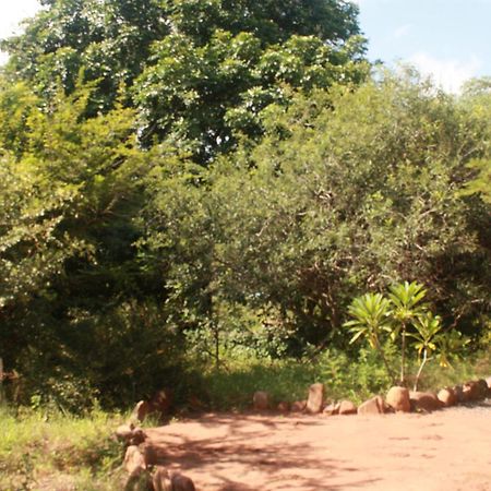 Copacopa Lodge And Conference Centre Punda Maria Luaran gambar