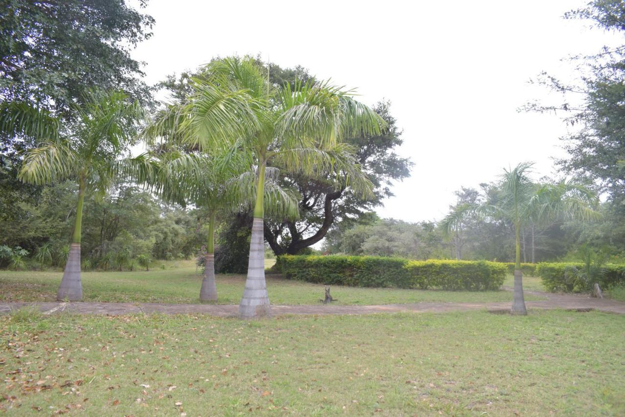 Copacopa Lodge And Conference Centre Punda Maria Luaran gambar